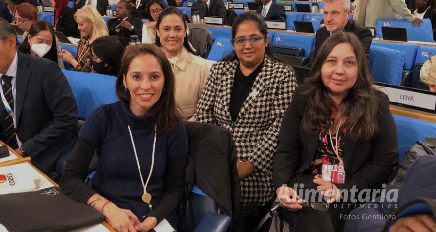 Codex Alimentarius: Delegación representa al Paraguay en la 46º Sesión