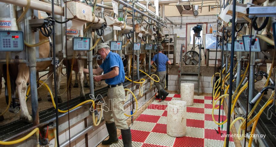 Día Mundial de la Leche: Paraguay entre desafíos y oportunidades en su cadena láctea
