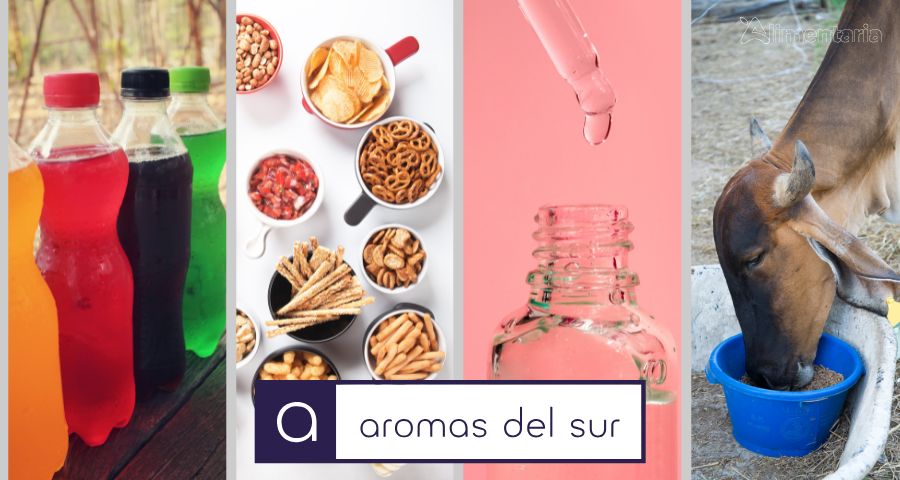 Sabores que conectan: soluciones sensoriales para la industria láctea