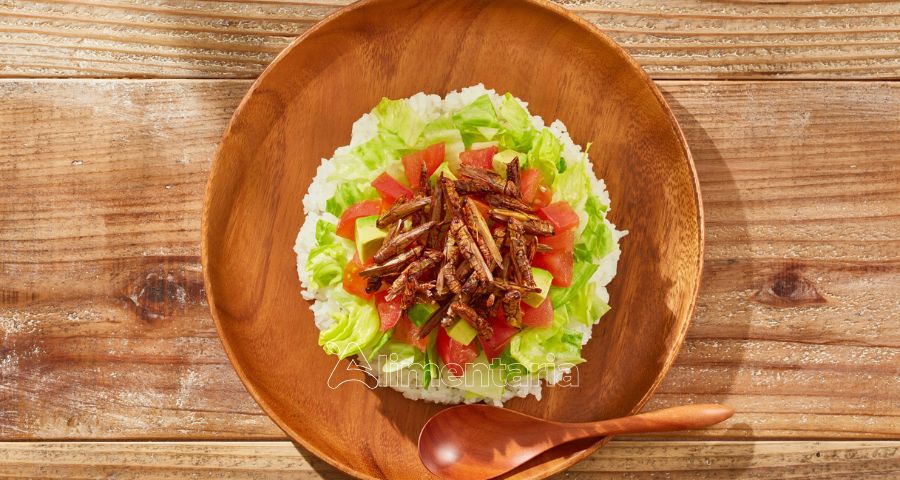 ¿Insectos al plato? El estudio descarta que reduzcan significativamente el consumo de carne