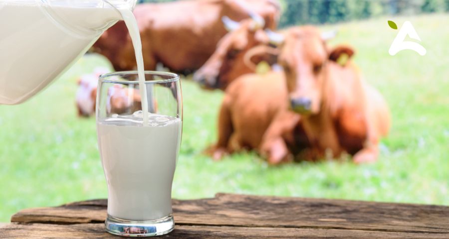 Producción Mundial de Leche: Crecimiento Constante y Principales Países Productores en 2023