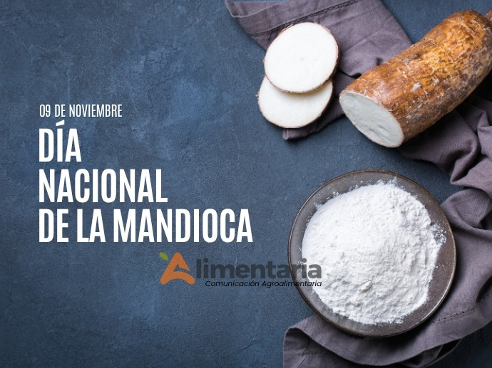 Potencial en expansión: la mandioca impulsa la cadena agroindustrial del país