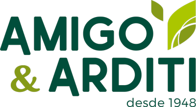 Amigo & Arditi S.A.