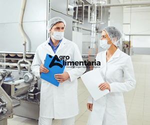 Consultoría, Ingeniería y Servicios Técnicos