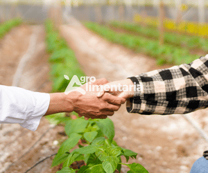 Cooperativas de producción