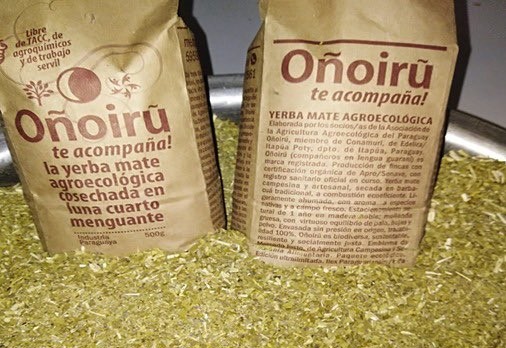 EXPORTARÁN 24.000 KILOGRAMOS DE YERBA MATE A ESTADOS UNIDOS